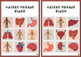 Vorschau - Stationenlernen - Bingo Organe - Seite 3
