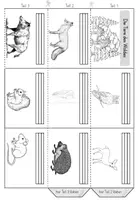 Vorschau - Anderer Materialtyp - Tiere des Waldes - Leporello - Seite 3