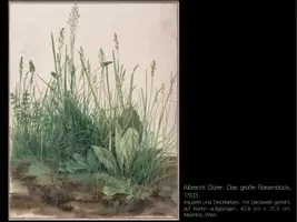 Vorschau - Arbeitsblätter - Naturstudien in Anlehnung an Albrecht Dürers "Das große Rasenstück" - Seite 3
