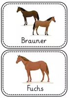 Vorschau - Poster - Infoposter Fellfarben - Seite 3
