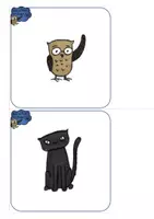 anteprima - Flashcard - Brown Owl at the Zoo - BUNDLE for KINDERGARTEN - Pagina 1