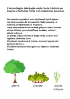 anteprima - Programmi scolastici / Materiali per docenti - UDA_Il mondo magico delle piante. Un Viaggio Straordinario tra Scienza e Creatività! - Pagina 3