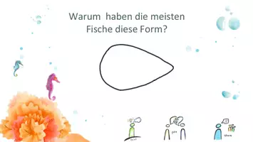 Vorschau - Arbeitsblätter - Stromlienienform des Fisches - mit Versuchsanleitung - Seite 2