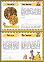 Vorschau - Stationenlernen - Getreide Wissenskartei - Seite 3