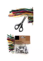 Vorschau - Präsentationen/Tafelbilder - Knotentausendfüßler_Phasenmodell und Kriterien (Knoten) - Seite 3