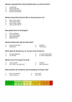 Vorschau - Test - Sasa Stanisic - Wolf - Lesetest Gruppe A und B Lektüretest mit Lösung (+ interaktives Quiz) - Seite 2