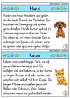 Vorschau - Arbeitsblätter - Abschreibkartei - Haustiere | Abschreibübungen | Deutsch 1. Klasse - Seite 2