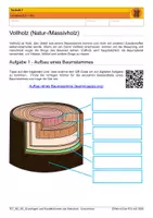 Vorschau - Stundenentwürfe - Holz - Grundlagen und Handelsformen von Vollholz (Kurz) - Seite 2
