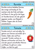Vorschau - Bildkarten - Abschreibkartei - Obst und Gemüse | Abschreibübungen | Deutsch 1. Klasse - Seite 3