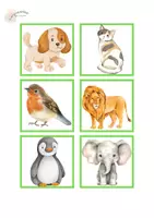 Vista previa - Tarjetas / Manipulativos - VOCABULARI: CAMPS SEMÀNTICS - página 2