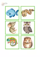 Vista previa - Tarjetas / Manipulativos - VOCABULARI: CAMPS SEMÀNTICS - página 3