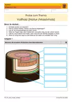 Vorschau - Test - Grundlagen und Handelsformen von Naturholz - Probe - Seite 1