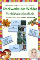 Vorschau - Mal- und Bastelvorlagen - Stockwerke des Waldes - Streichholzschachteln - Deckblatt