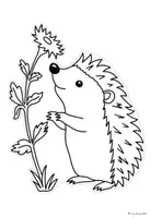 Vorschau - Mal- und Bastelvorlagen - Fensterbilder "Igel" - Seite 3