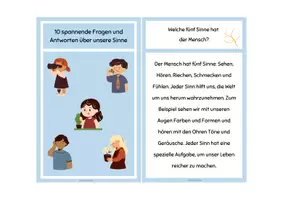 Vorschau - Stationenlernen - Lesekartei & Fragen Sinne - Seite 2