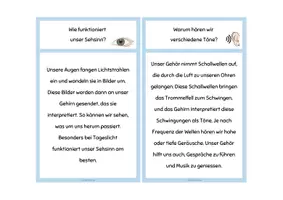 Vorschau - Stationenlernen - Lesekartei & Fragen Sinne - Seite 3