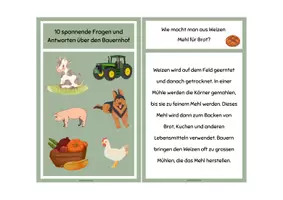 Vorschau - Stationenlernen - Lesekartei & Fragen Bauernhof - Seite 2