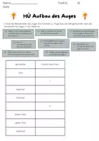 Vorschau - Test - HÜ Aufbau Auge - Deckblatt