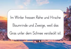 Vorschau - Unterrichtsreihen - Sachunterricht 4. Klasse - Materialpaket - Seite 2