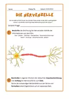 Vorschau - Stundenentwürfe - Die Nervenzelle - Aufbau und Funktion - Deckblatt