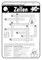 Vorschau - Arbeitsblätter - Kreuzworträtsel Die Zelle - Aufbau von Zellen #bestofLMP2019 - Seite 2