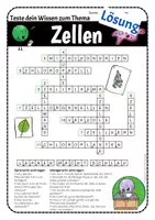 Vorschau - Arbeitsblätter - Kreuzworträtsel Die Zelle - Aufbau von Zellen #bestofLMP2019 - Seite 3