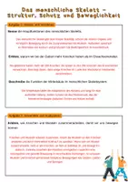 Vorschau - Stundenentwürfe - Das menschliche Skelett – Struktur, Schutz und Beweglichkeit | Unterrichtsreihe "Der Mensch", Biologie Klasse 6./7. - Seite 1