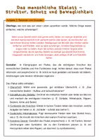 Vorschau - Stundenentwürfe - Das menschliche Skelett – Struktur, Schutz und Beweglichkeit | Unterrichtsreihe "Der Mensch", Biologie Klasse 6./7. - Seite 3