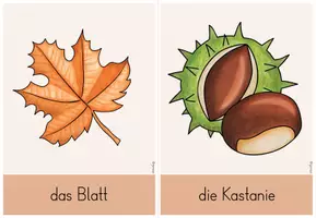 Vorschau - Fördermaterial/Inklusion - Deutsch/ DaZ: 48 Wortschatzkarten für den Herbst (Kl.1-3) - Seite 3