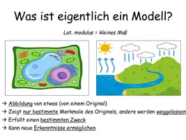 Vorschau - Stundenentwürfe - Modelle - Arbeitsblatt zur Modellkompetenz in der Unterstufe - Seite 3