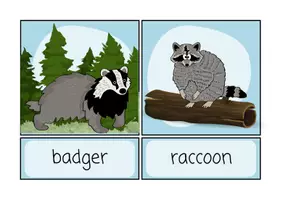 Vorschau - Präsentationen/Tafelbilder - Animals in winter - Flashcards - Seite 2