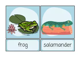 Vorschau - Präsentationen/Tafelbilder - Animals in winter - Flashcards - Seite 3