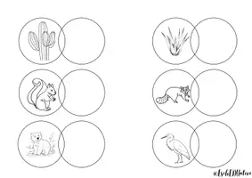 anteprima - Esercizi - A lezione di scienze: piante, animali e ambienti 🌱 - Pagina 2