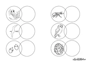 anteprima - Esercizi - A lezione di scienze: piante, animali e ambienti 🌱 - Pagina 3