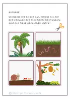 Vorschau - Arbeitsblätter - Oben oder unten? Finde die richtige Position - Seite 3