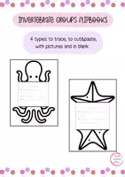 Vorschau - Arbeitsblätter - INVERTEBRATE GROUPS FLIPBOOK - 4 types - Deckblatt
