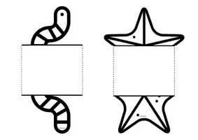 Vorschau - Arbeitsblätter - INVERTEBRATE GROUPS FLIPBOOK - 4 types - Seite 2