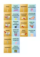 Vorschau - Spiele - Zuordnungsspiel Knochen - Anatomie Biologie - Seite 2