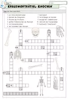 Vorschau - Arbeitsblätter - Kreuzworträtsel Knochen und Skelett - Seite 3