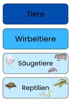 Vorschau - Präsentationen/Tafelbilder - Tafelmaterial - Wirbeltiere und wirbellose TIere - Deckblatt