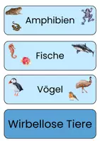 Vorschau - Präsentationen/Tafelbilder - Tafelmaterial - Wirbeltiere und wirbellose TIere - Seite 1