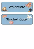 Vorschau - Präsentationen/Tafelbilder - Tafelmaterial - Wirbeltiere und wirbellose TIere - Seite 3