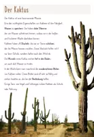 Vorschau - Poster - Wüstenpflanzen - Steckbriefe - Seite 1