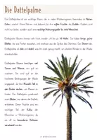 Vorschau - Poster - Wüstenpflanzen - Steckbriefe - Seite 2