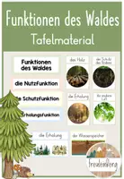 Vorschau - Präsentationen/Tafelbilder - Funktionen des Waldes - Tafelmaterial - Deckblatt