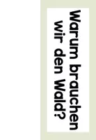 Vorschau - Präsentationen/Tafelbilder - Funktionen des Waldes - Tafelmaterial - Seite 3