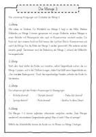 Vorschau - Arbeitsblätter - Die Zahl 3 (1. Klasse und Vorschule) - Seite 1