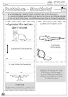 Vorschau - Arbeitsblätter - Infocube: Haustiere | Frettchen - Seite 1