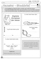 Vorschau - Arbeitsblätter - Infocube: Haustiere | Hamster - Seite 1
