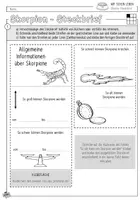 Vorschau - Arbeitsblätter - Infocube: Haustiere | Skorpion - Seite 1